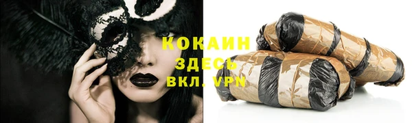 бошки Белокуриха