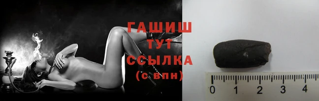 бошки Белокуриха