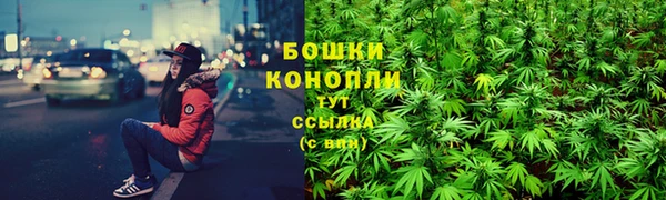 прущие крисы Беломорск