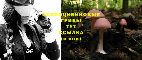 бошки Белокуриха