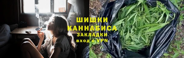 бошки Белокуриха